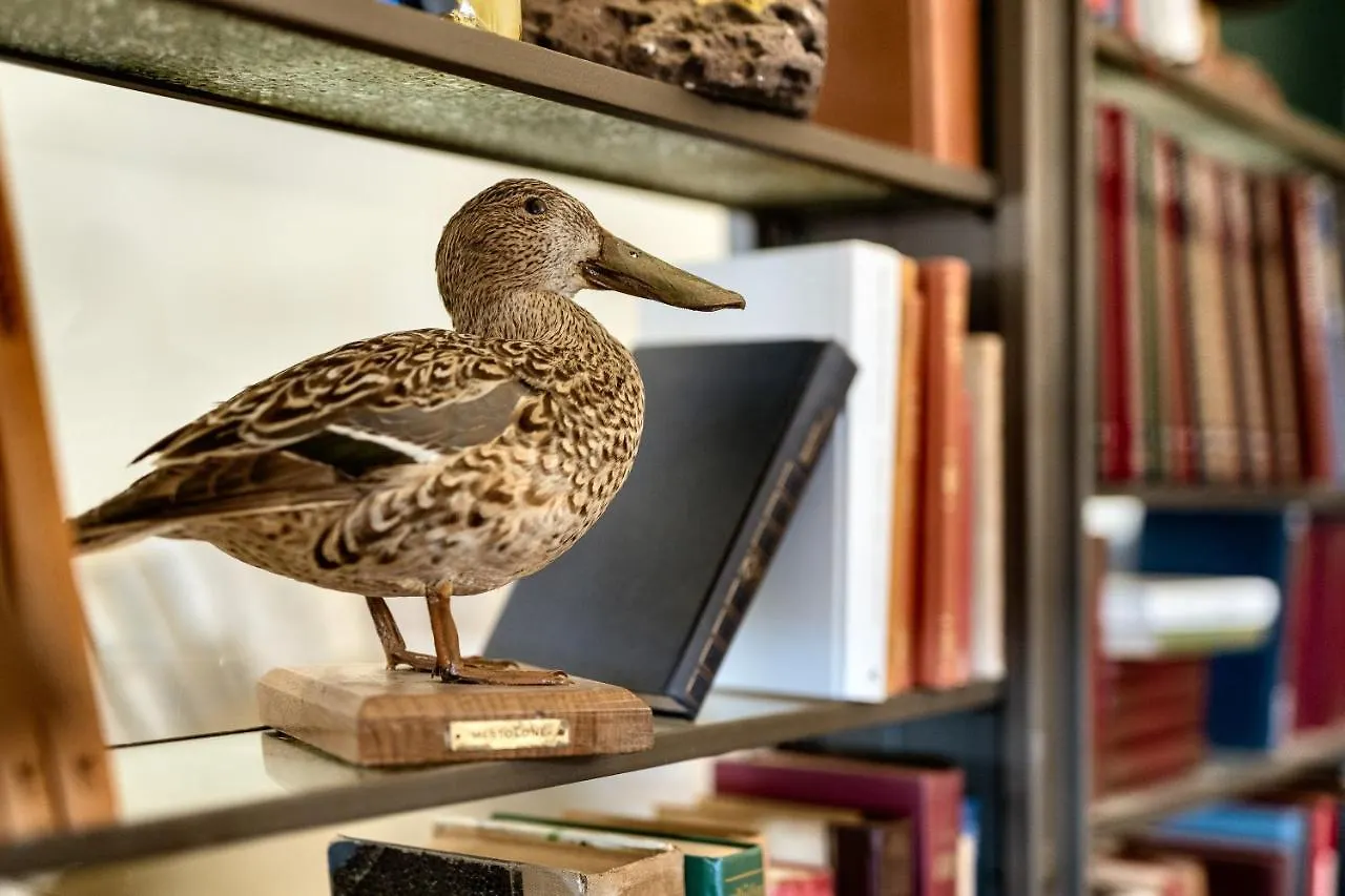Pensionat Palazzo Dessy Hotell Cagliari